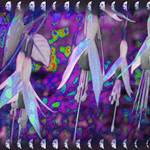 Frosted Fuchsias White