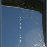 Ice drops