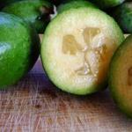 Fejoa Fruit