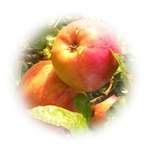 Eve's Temptation