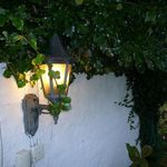 Garden light