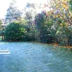 Frosty Morning