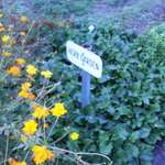 Herb Garden