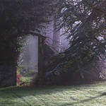 Misty Garden