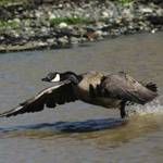 taking off