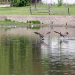 Landing...