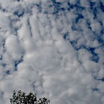 Giant Hand in the Sky
