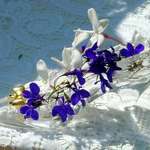 glass slipper & fairy flowers