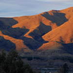 Golden Hills