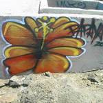 Grafitti