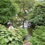Halifax City Gardens Stream