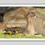 Happy Mother's Day 2009 #3