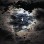 Harvest Moon