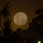 Harvesters Moon