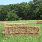Haystacks 