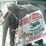 Happy 300 New Milford