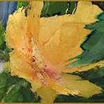 Hibiscus Abstract