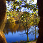 Hillsborough Forest Park