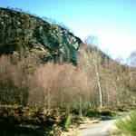 Scottish hillside