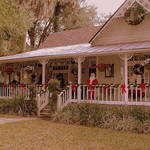 Home  for the holidays