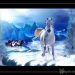 Snow Horse