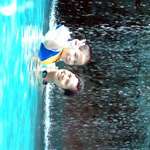 Summer's joy