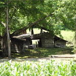 Barn
