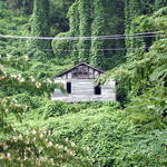 Old Camp House