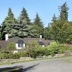 Peaceful Street, House on Hill, & Many Shades of Green