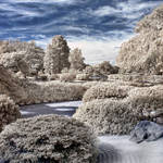 Infrared Gardens