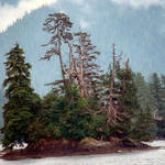 Alaskan Island