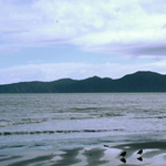 Kapiti Island