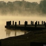 Jetty in the Mist