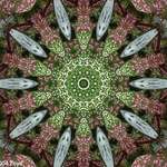 splashed kaleidescope