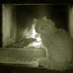 Keeping Warm