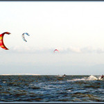 Kites on SF Bay 1