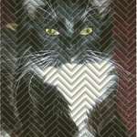 Herringbone Kitty