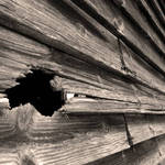 knot hole