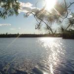 On the Lake