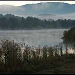 Misty Morning