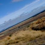 Mt Ruapahu Plains