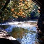under the bridge