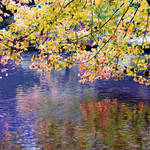 river view