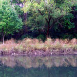 river reflection