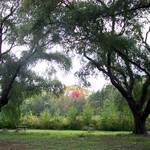 park bench