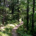 Halfmoon Trail-July
