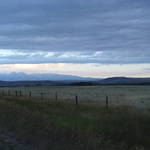 Montana Grasslands