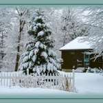 Wilderness Cabin