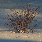 Deep Freeze