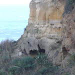 Wind Damage
